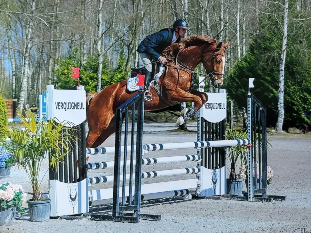 Alberto franchissant un obstacle en concours